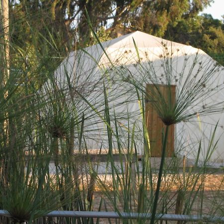 Yarok Az - Ecolodge Farm Ilaniya Camera foto