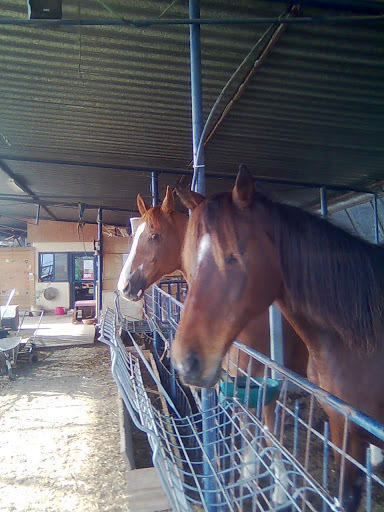 Yarok Az - Ecolodge Farm Ilaniya Esterno foto