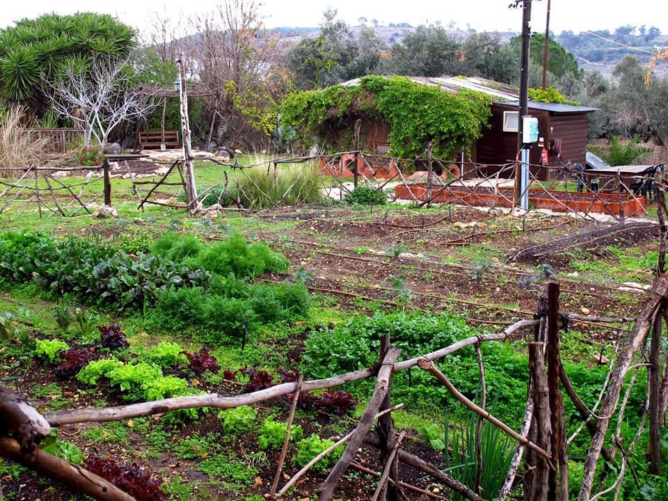 Yarok Az - Ecolodge Farm Ilaniya Esterno foto